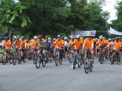 Pedal power proves popular in Phuket