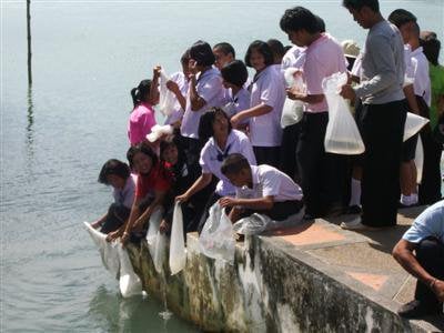 Phuket shellfish release to mark HM THe King’s Birthday