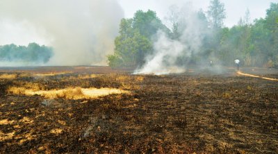 Fires rage again in Phuket