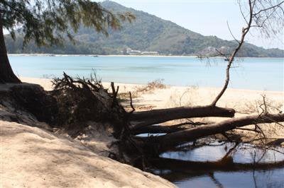 Phuket coast under threat: park chief