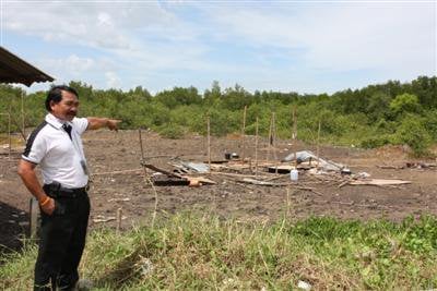 More Phuket mangroves destroyed