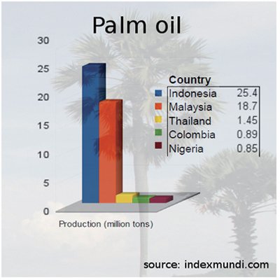 Phuket Business: Krabi shaping up as an oil hub