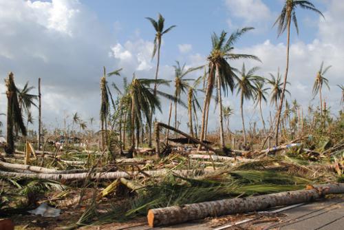 Philippines Typhoon Haiyan Disaster Relief Fund in Phuket