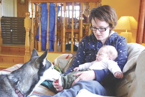 Phuket Pets: So… you’ve got a baby on the way