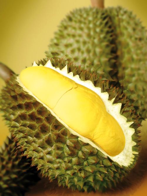 Phuket Food: Discover the delights of durian