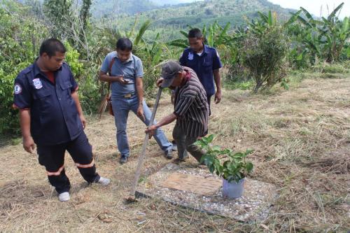 Marked Phuket grave gone to the dogs