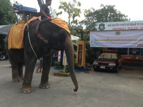 Phuket survives first day of Songkran Seven Days of Danger