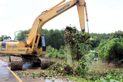 Phuket officials stage pre-emptive strike against canal-clogging flower