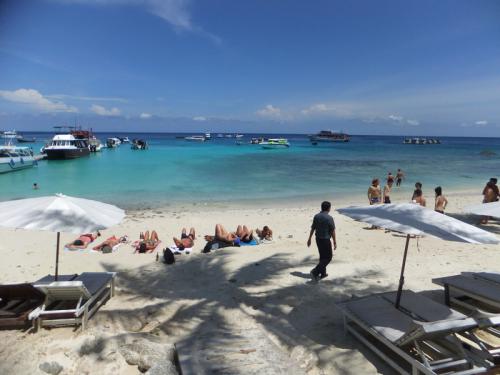 Action to be taken on coral, wastewater at Racha Island