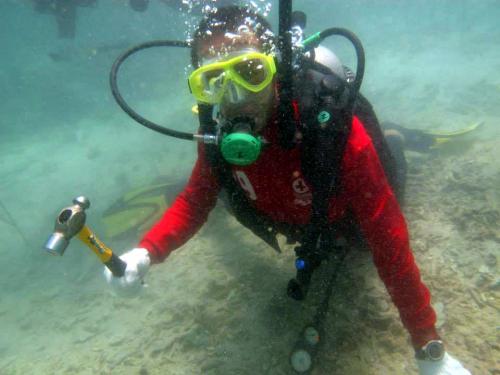 Phuket tourists, divers to be warned off damaged coral zone