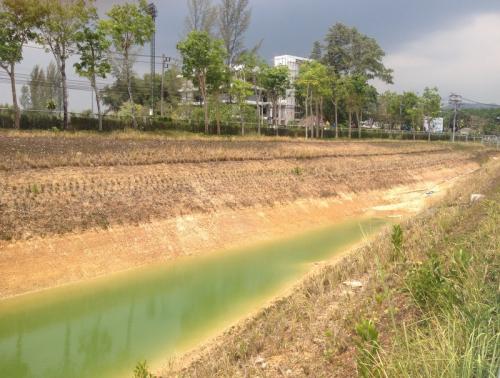 Phuket drought set to continue, driest early quarter in 10 years