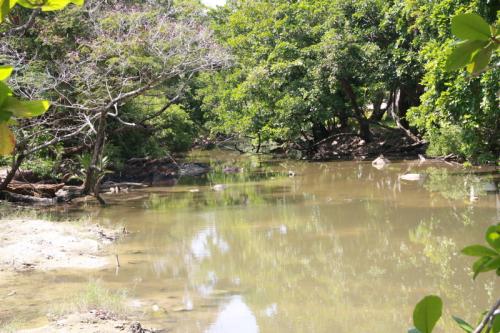 Rawai Municipality takes charge of one of many environmental issues plaguing Racha