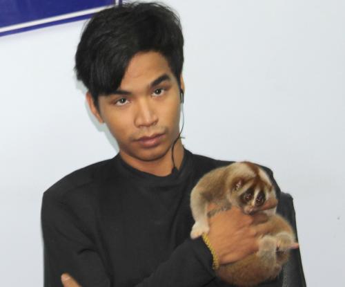 Stiff penalties for Phuket slow loris touts in wake of Rihanna Instagram