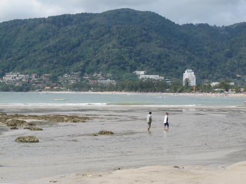 Brown Patong Bay blamed on algae bloom