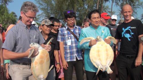 Phuket helps turtles break for the waves