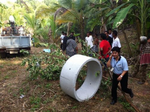 Phuket man crushed by truck and coconut tree