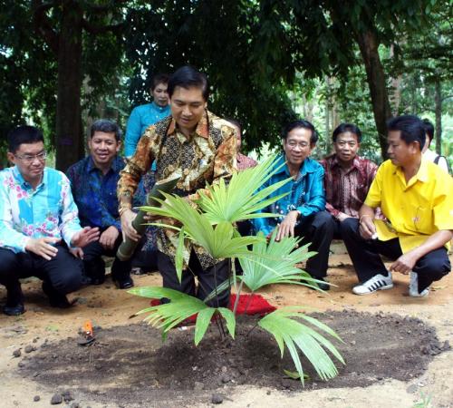 Teachers, students plant rare species of palm in Phuket National Park