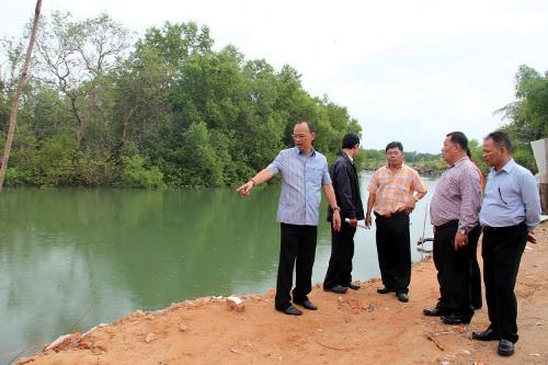 Phuket mangrove deforestation probe whittles down encroachment claim