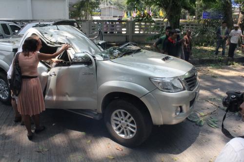 Government chief, 100-year-old tree deliver crushing blow to driver’s insurance