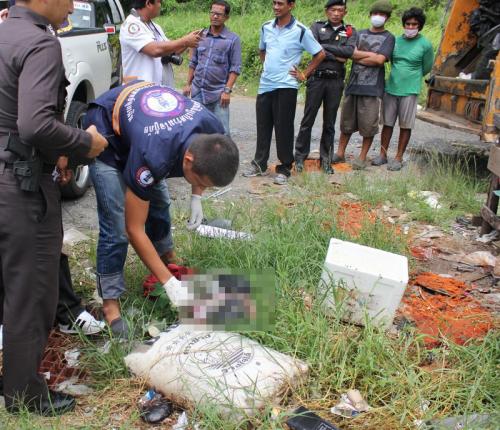 Newborn dumped, found dead in Phuket trash pile