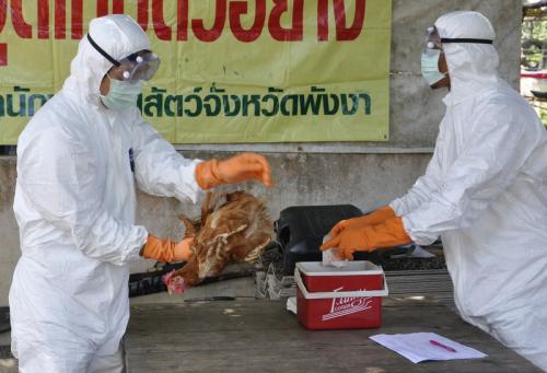 Officials stage rapid-response drill to bird flu outbreak