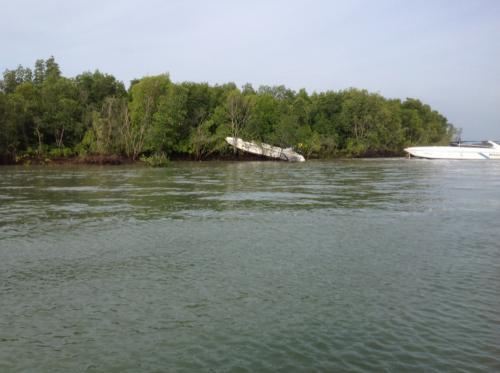 Phuket speedboat brings tourists closer to nature