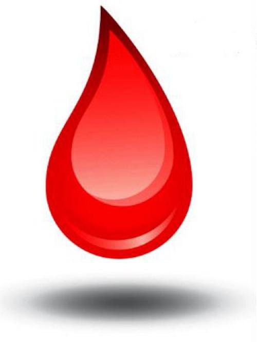 Phuket Blood Bank: Urgent call for O-negative blood