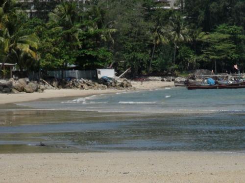 Polluted water plagues Phuket beach