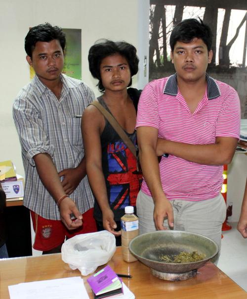 Phuket kratom arrests continue as nation ponders decriminalizing the leaf