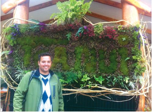 Phuket Property: Green Walls – It’s alive!