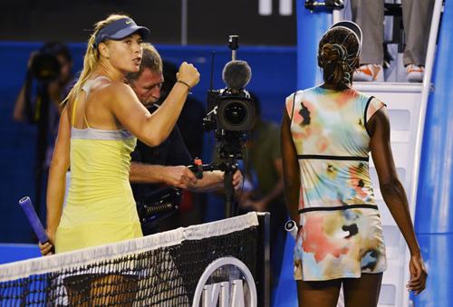 World Sports: Venus trapped as Sharapova flies