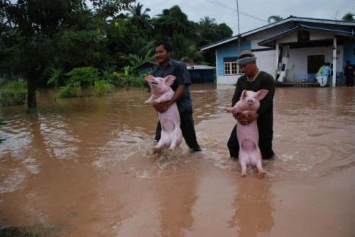 Phuket Gazette Thailand News: Threat from typhoon eases [VIDEO] | Thaiger