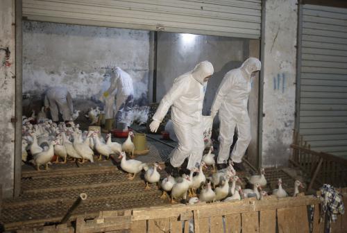 Phuket Gazette World News: Hong Kong confirms second death from H7N9 bird flu