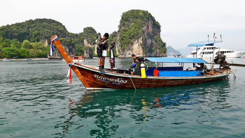 More fire jellyfish found off Krabi