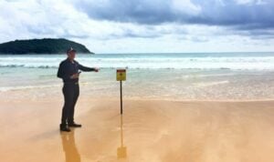 UPDATE Jellyfish at Nai Harn | News by Thaiger