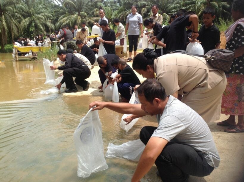 Release of 1.5 million marine creatures in Krabi