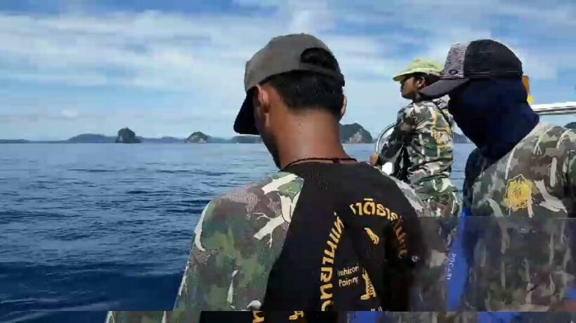 Whale shark family spotted near Koh Hong, Krabi