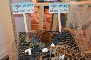 Thailand hosts ASEAN Environment Conference in Phuket | News by Thaiger