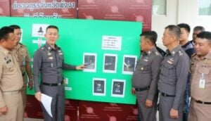 Marijuana valued at 2 million Baht - crackdown in Phang Nga | News by Thaiger