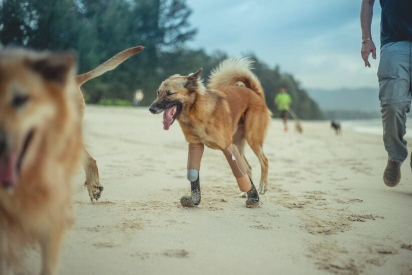 Blade Runner. Cool tech gives Cola new legs.