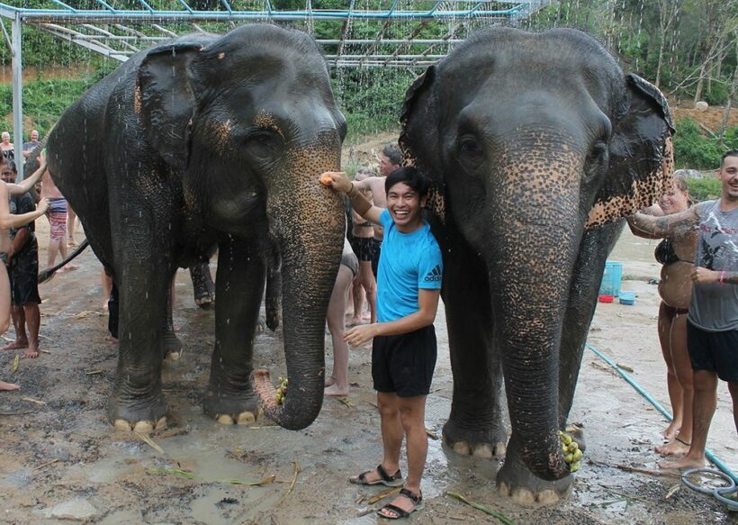 A day that I will treasure forever – visit to the Elephant Jungle Sanctuary Phuket