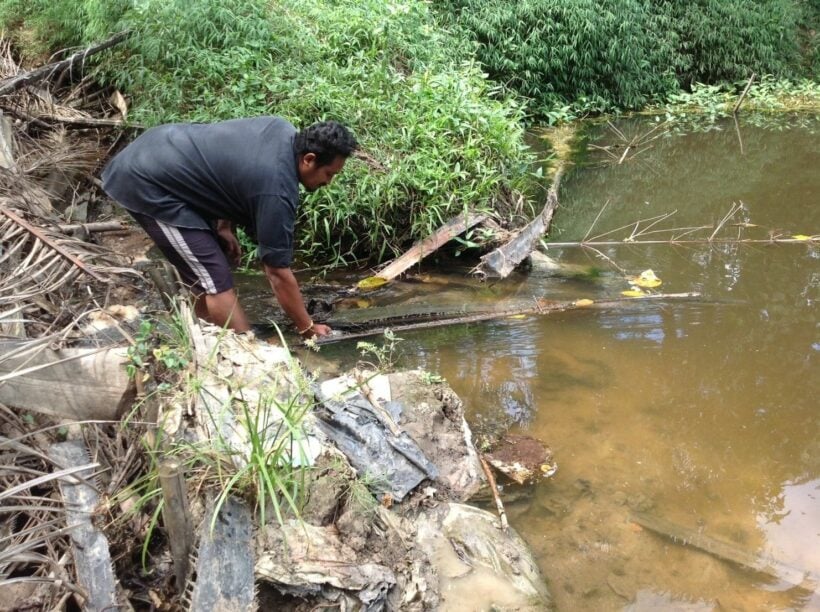 Krabi locals complain about waste water from palm oil factory