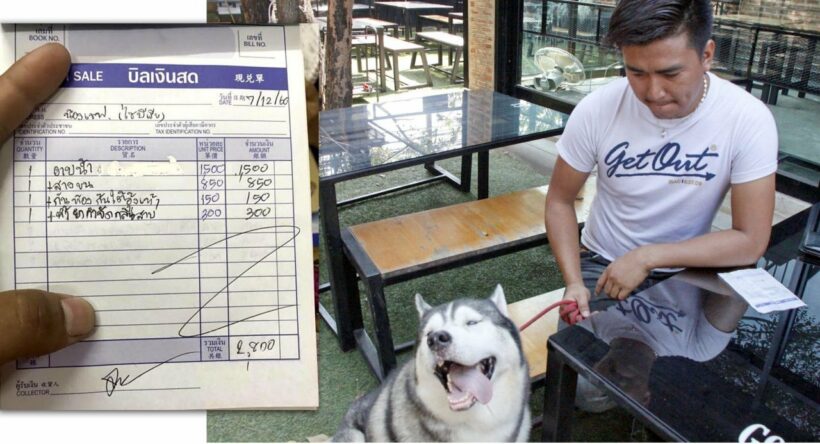 How much would you pay to get your dog groomed? 2800 baht?!