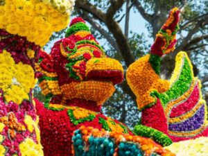 Chiang Mai Flower Festival 2024: An Explosion of Colors