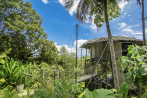 Always wanted to stay in a cool tree-house? Now you can, in 5 star luxury. | News by Thaiger