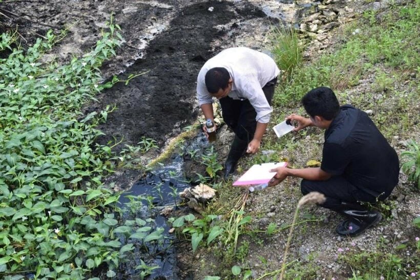 Krabi palm oil plant given warnings after releasing waste water