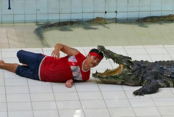 Crocodile – 1. Performer – 0.