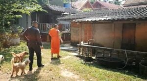 Krabi Abbot calls for justice over allegations | News by Thaiger