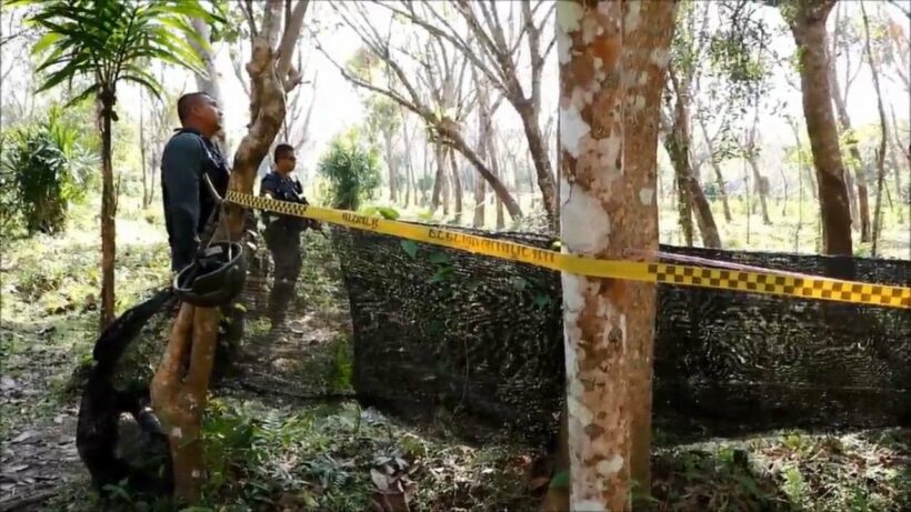 Personal grudge behind killing of rubber tapper in South – Police