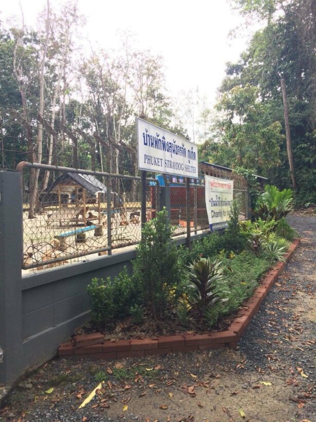 ภูเก็ตเร่งฟื้นฟูบ้านพักพิงสุนัขจรจัด จัดสรรงบกว่า 8 ล้านบาท พร้อมปรับปรุงภูมิทัศน์และสุขอนามัยให้สวยงาม | The Thaiger